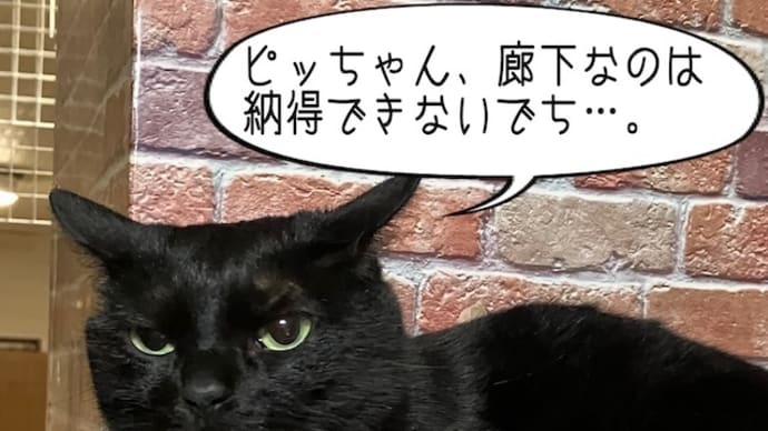 なんで廊下!?