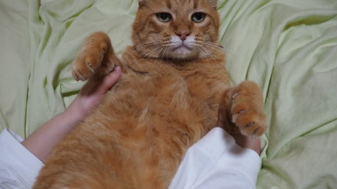 さぬき岩蔵へ行きまする