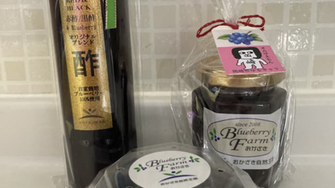 ブルーベリーファームおかざき