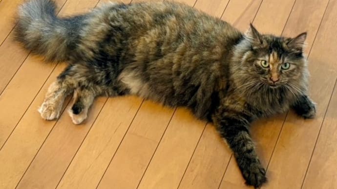 ９月１２日　ココナツの美容体操