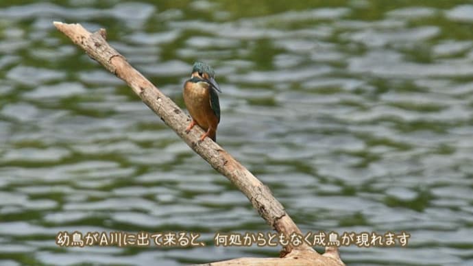 お天気は良いのにねぇ～