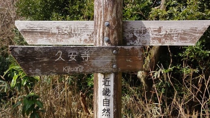 生駒縦走歩道を歩く