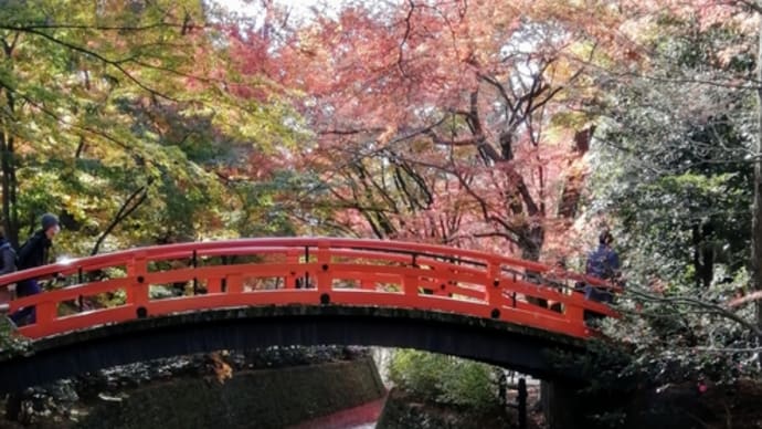 北野天満宮御土居の紅葉