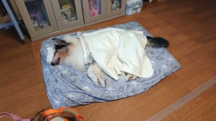 イネちゃんが