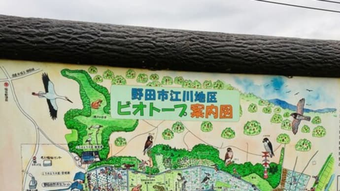 千葉県野田市 コウノトリの里 アットホームな地元の人たちの憩いの場
