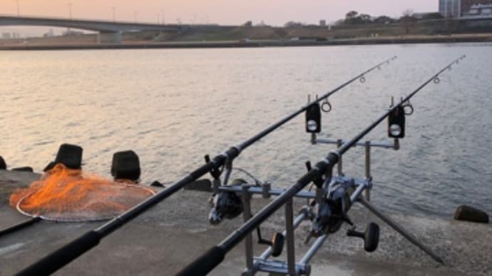 2月27日の鯉釣り