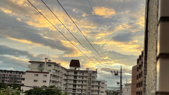 梅雨の前の……