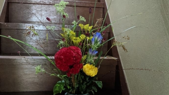 女郎花(秋の七草)