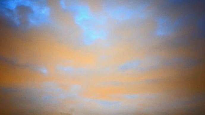 夜明け前 2024年7月14日♫