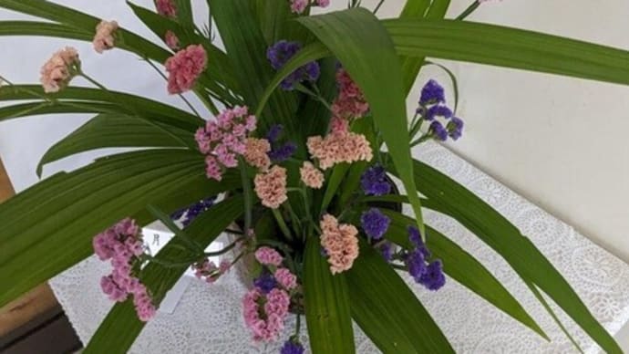 篠窪(しのくぼ)の隣町 草月流 佐久山様が「スターチス魅力」を生ける(2023/05/31)