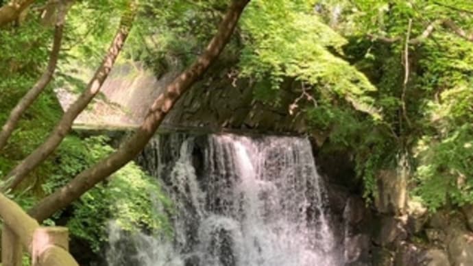 まさかりが淵市民の森
