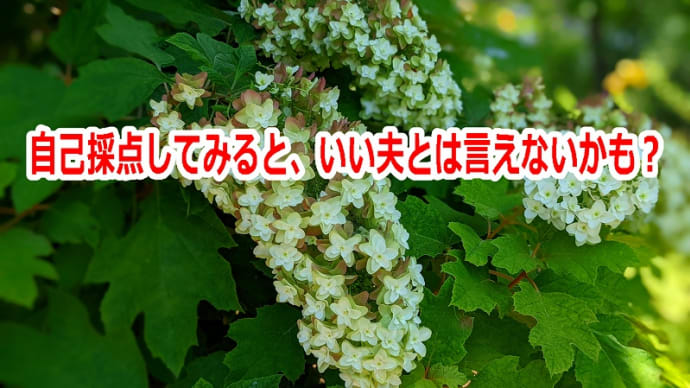 自己採点してみると、いい夫とは言えないかも?