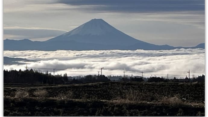 【ランドスケープ】雲海に浮かぶ富士山