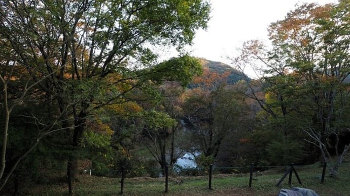 バス旅:埼玉「紅葉はどこだ!?」巡り日帰り旅4・嵐山渓谷