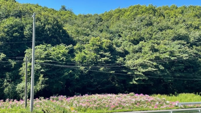 塙町研修　最終日