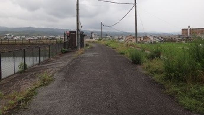 いいね!日根野 その2