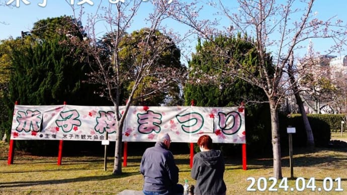 米子桜まつり2024　湊山公園Ⅴ　4月1日