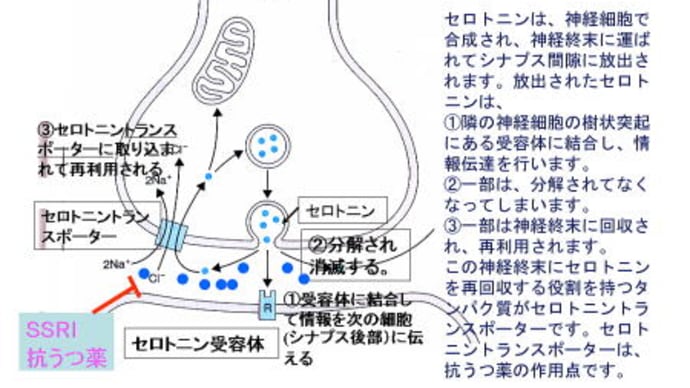 習慣創りのポイントはドーパミンをうまく使うことだ!(再編集)