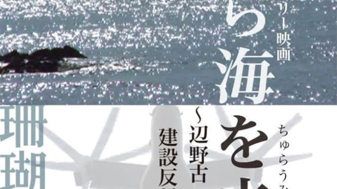 イベント紹介－「美ら海を未来へ－辺野古・高江、新基地建設反対によせる思い」