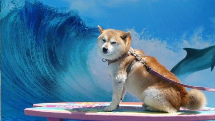そう言えば 日光那須に旅行したな 最終回 犬同伴も結構行けるようになったんだね