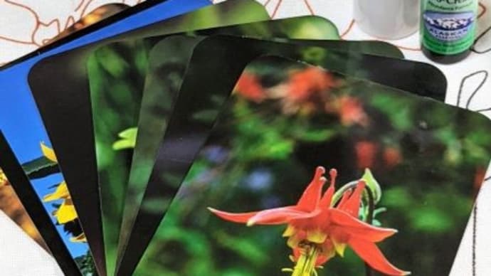 COLUMBINE