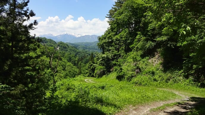 峰街道◆目には青葉 山ほととぎす 初鰹 (6)
