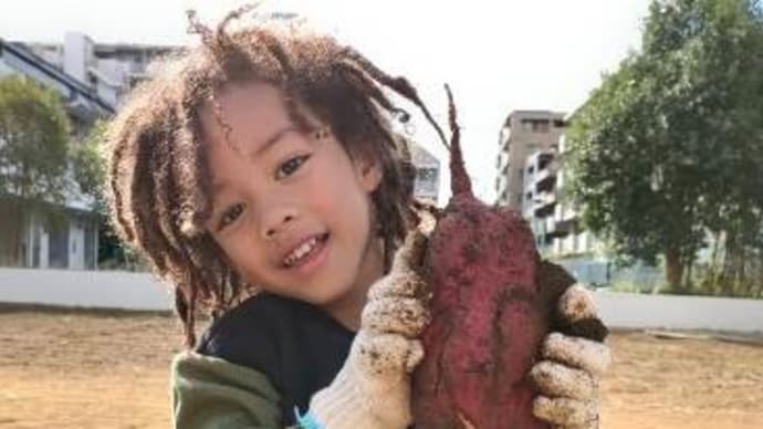 サンバくん、人生初のお芋掘り