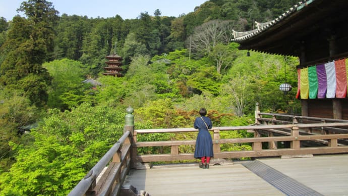 小鳥の美しいさえずり響く 新緑の長谷寺