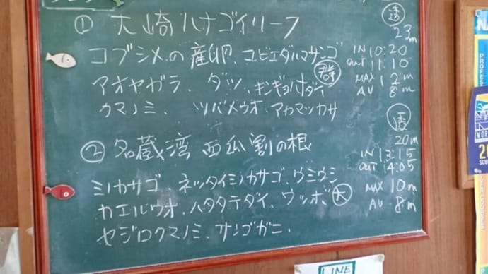 20220427ダイビングログ
