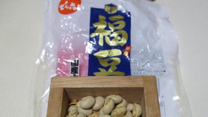 節分に豆を撒き、恵方巻を食べ、イワシを食べました