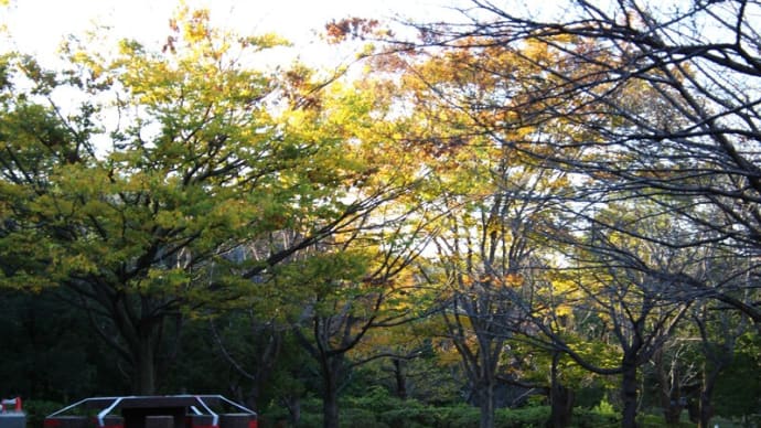香澄公園の秋