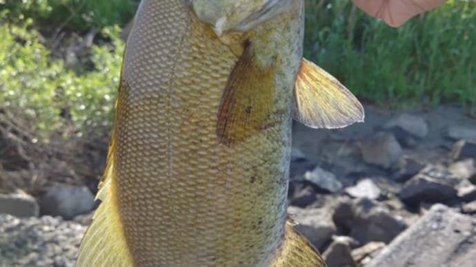 鬼怒川バス釣行 5.14