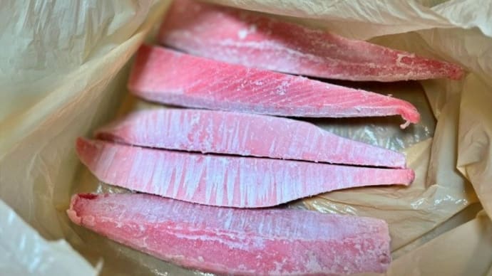 マグロの差し入れ~冷凍保存