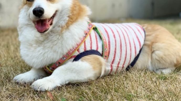 生と死を分けるもの。