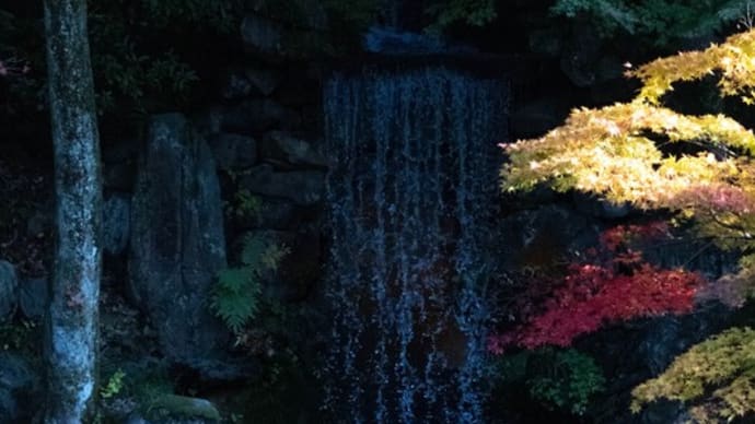 ●紅葉の兼六園 瓢池と翠滝のモミジの紅葉 マユミの実 ツワブキ コロナワクチン5回目の接種