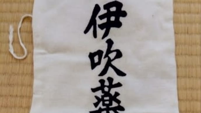 ねこ、ヨモギ蒸し