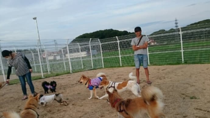 7月25日のせとうちドッグパーク