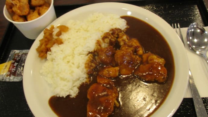 別府湾サービスエリアでデミカレー+唐揚げをいただきました 日本語、中国語、韓国語が飛び交っています