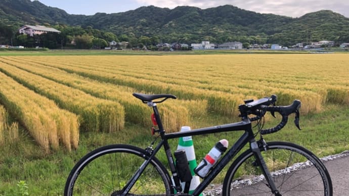 2022GWな日々①裏平尾台