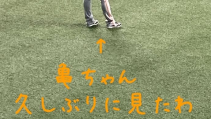 京セラドーム大阪に来ました。