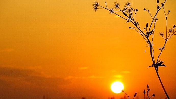 晩秋の夕焼け富士と満月
