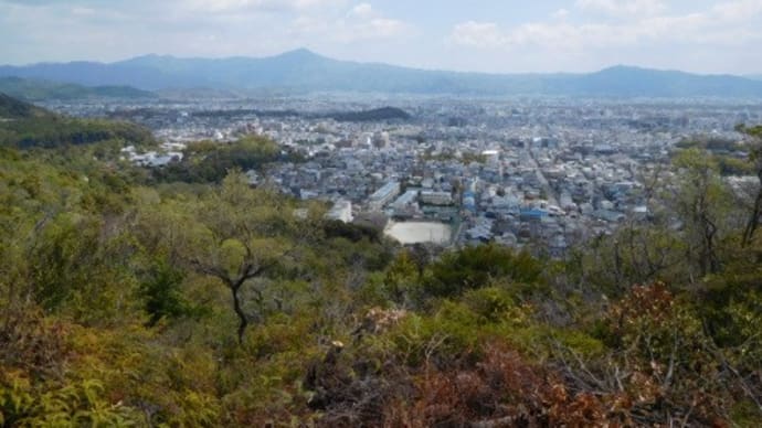 衣笠山 201m