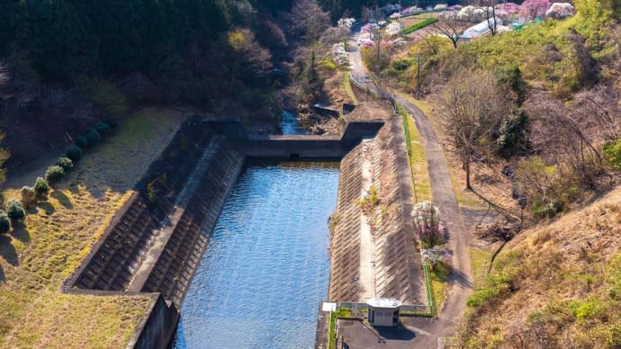 早春の桐生川ダム（１）、2020年4月