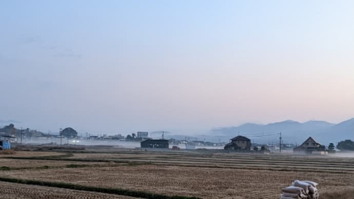 今日の朝活