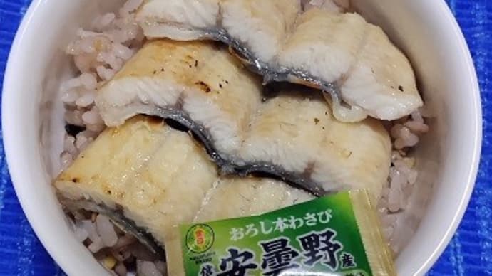 【03/07朝食】三重県産鰻白焼真ん中部を付いてきた安曇野わさびでささっと済ませたんだね：D