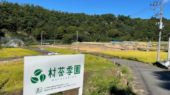 秋の茶摘みに向けて!