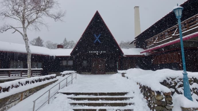 雪国の清里へ