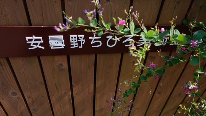 夏の信州紀行(安曇野ちひろ美術館にて)