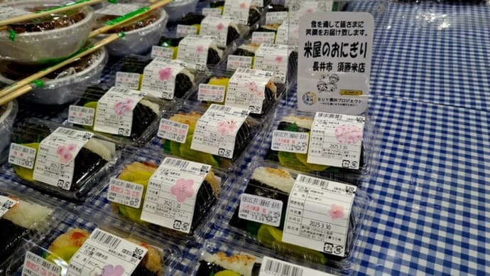 桜開花~道の駅~米屋のおにぎり