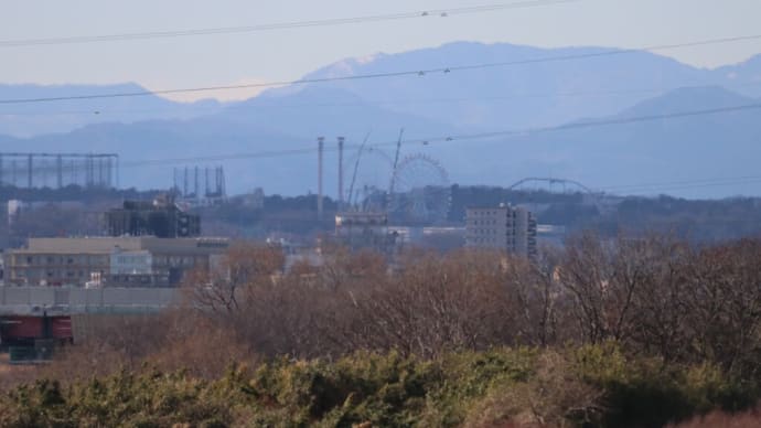よみうりランドと民家園と鳥たちの話